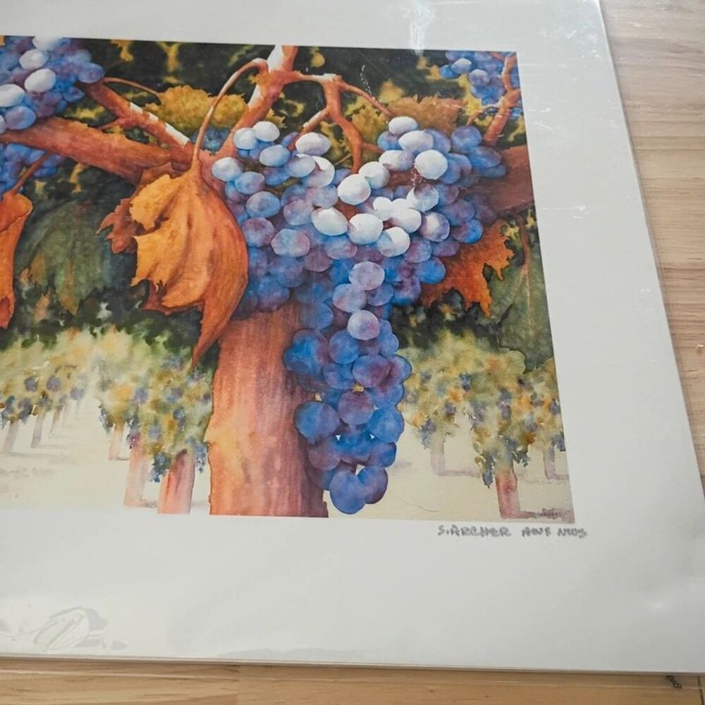 NEW Sue Archer Between Vine & Wine Fine Art Giclee Reproduction Watercolor Print - Picture 4 of 12